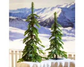 Alpine Mini Tree